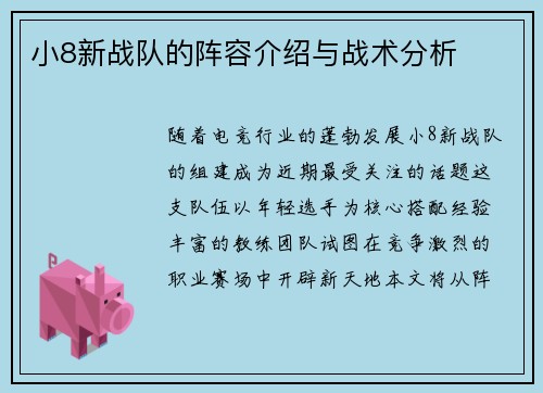 小8新战队的阵容介绍与战术分析
